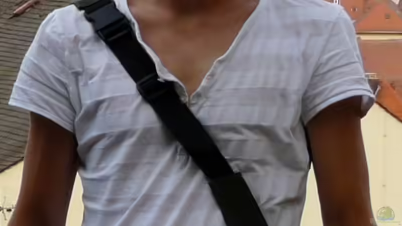 Userbild von Mario von Mario (12)