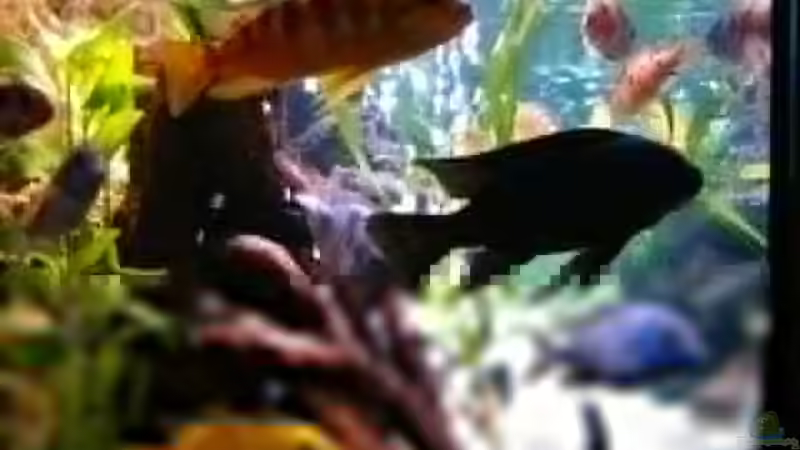 Userbild von Marion Goike von Marion Goike (9)