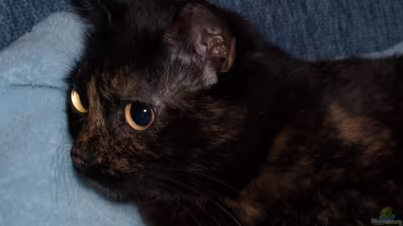 Userbild von Marion1705 von Marion1705 (9)