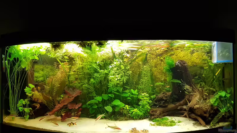 Userbild von Mark1234 von Mark1234 (13)