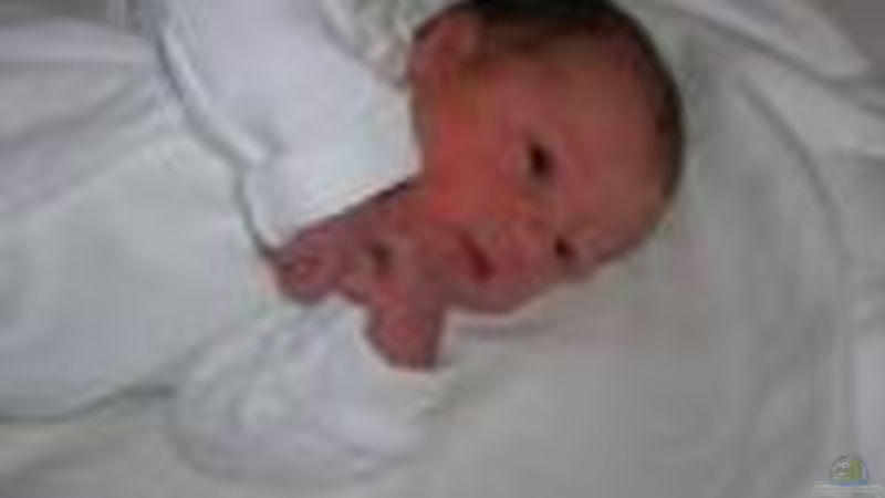 Userbild von Markus Huber von Markus Huber (36)