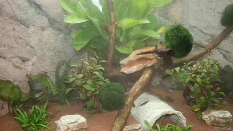 Userbild von Markus Weis von Markus Weis (2)