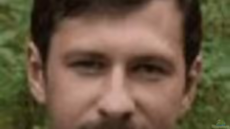 Userbild von Marmax von Marmax (35)