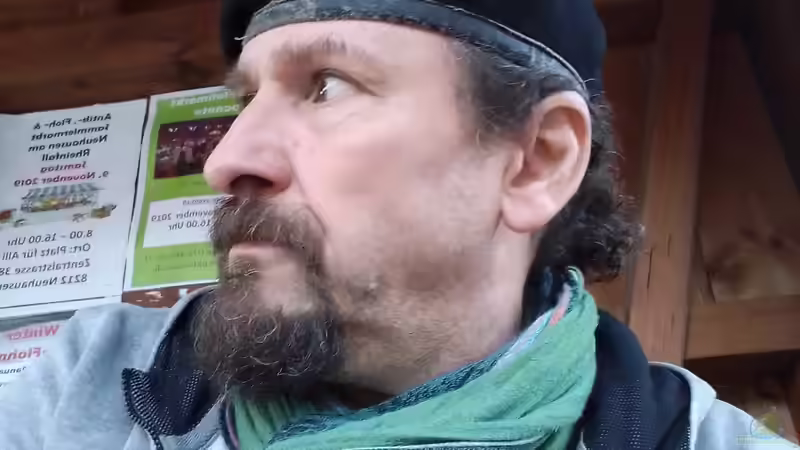 Userbild von Martin Meier von Martin Meier (7)