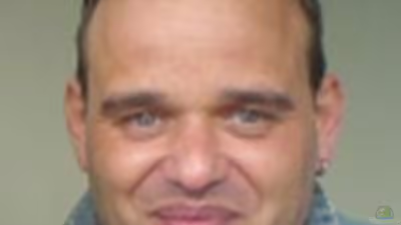 Userbild von Martin Neumann von Martin Neumann (9)