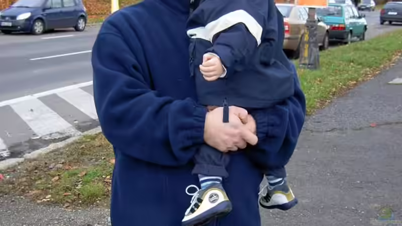 Userbild von Martin Vajs von Martin Vajs (11)