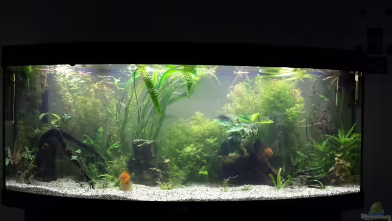 Userbild von Martin von Martin (14)