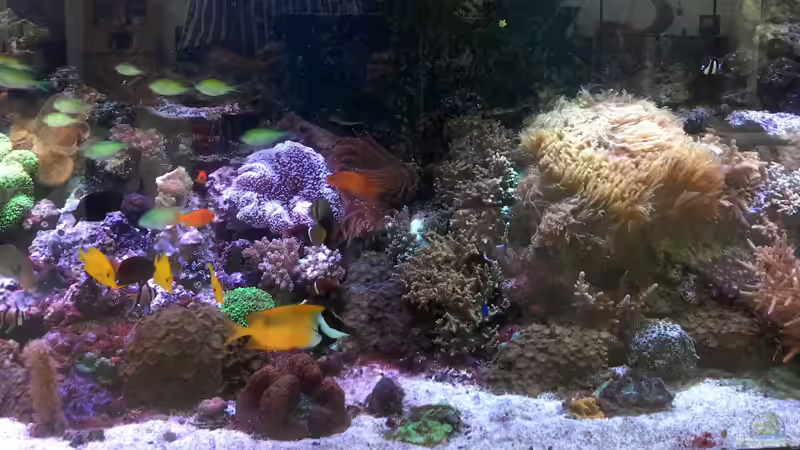 Userbild von Martinerft von Martinerft (18)