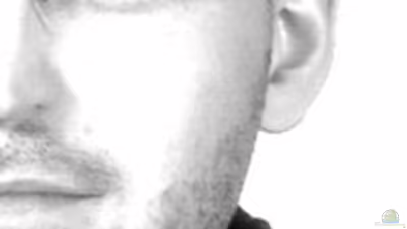 Userbild von MartinS von MartinS (84)