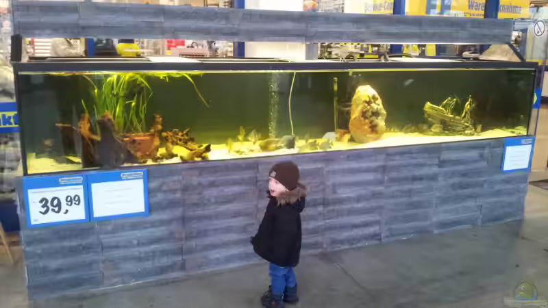 Userbild von Mateusz von Mateusz (10)