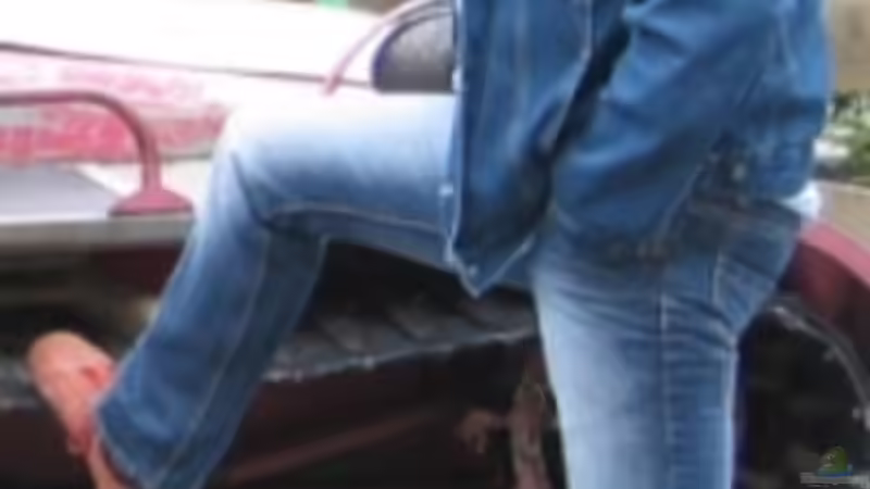 Userbild von Mats von Mats (82)