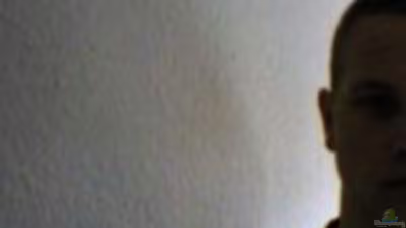 Userbild von Matthias Hükelheim von Matthias Hükelheim (4)