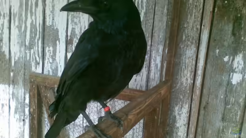 Userbild von Matthias von Matthias (13)