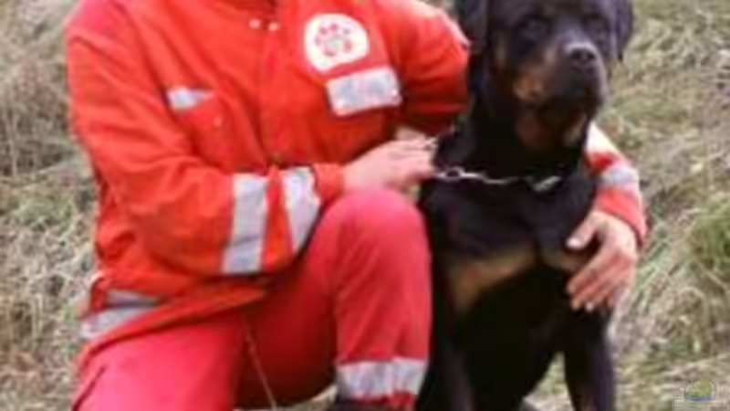 Userbild von Mattie von Mattie (9)