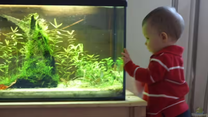 Userbild von Matzemania von Matzemania (5)