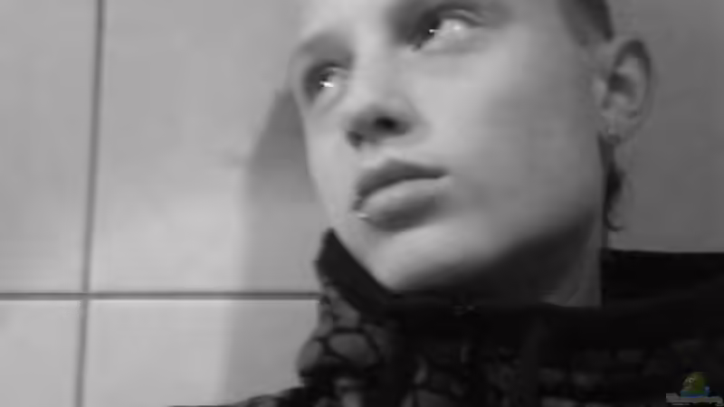 Userbild von Maurice Kraft von Maurice Kraft (6)