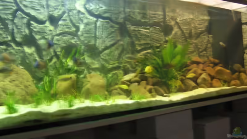 Userbild von Maurice Overheu & Dennis Klusmann von Maurice Overheu & Dennis Klusmann (25)