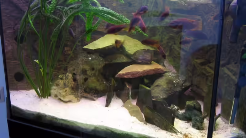 Userbild von Maurice Overheu von Maurice Overheu (23)