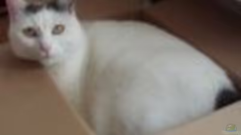 Userbild von Maverick0815 von Maverick0815 (14)