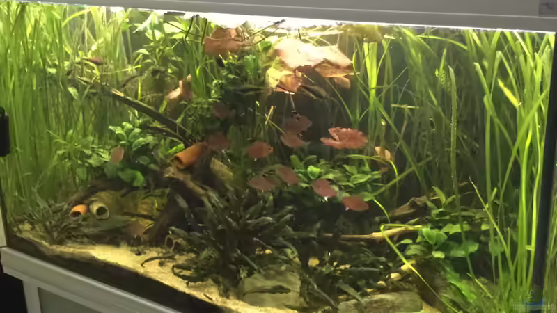 Userbild von Max K. von Max K. (3)