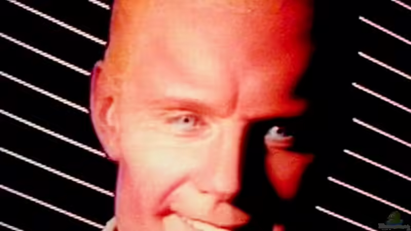 Userbild von maxheadroom von maxheadroom (83)