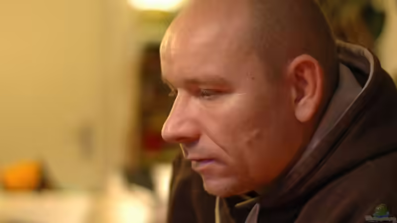 Userbild von Maylandia von Maylandia (105)