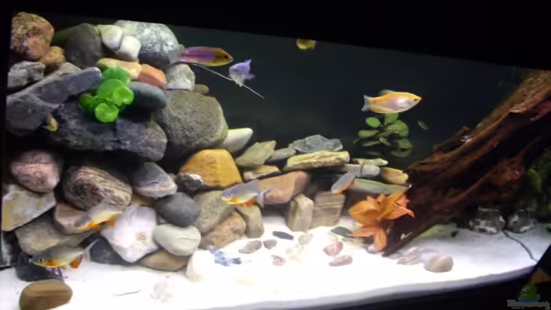 Userbild von Maze von Maze (5)