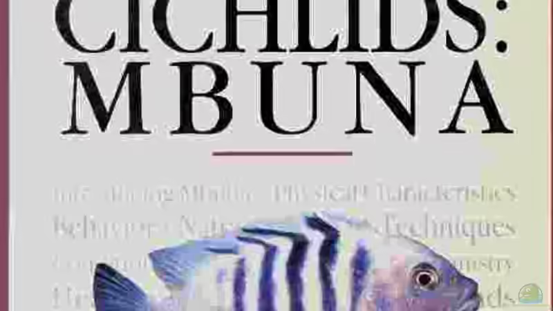 Userbild von mbunafreund von mbunafreund (23)