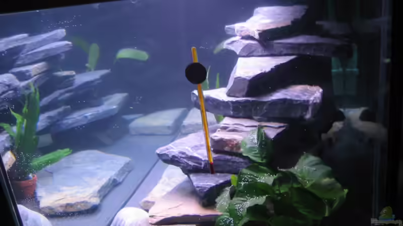 Userbild von mbunatico von mbunatico (4)