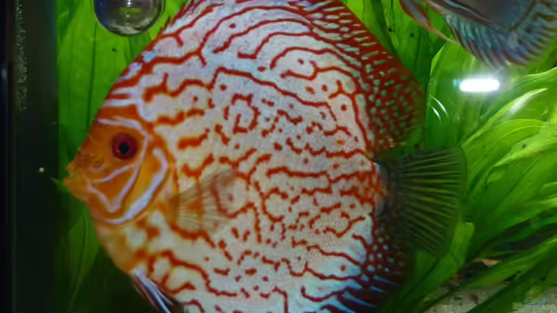 Userbild von me8210 von me8210 (18)