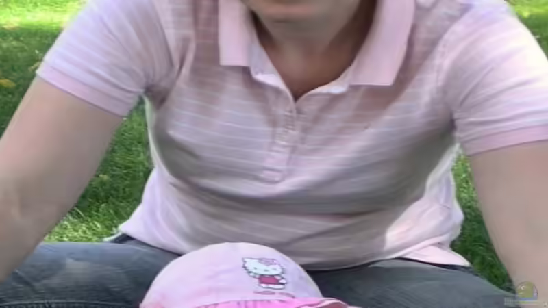 Userbild von Meli von Meli (20)