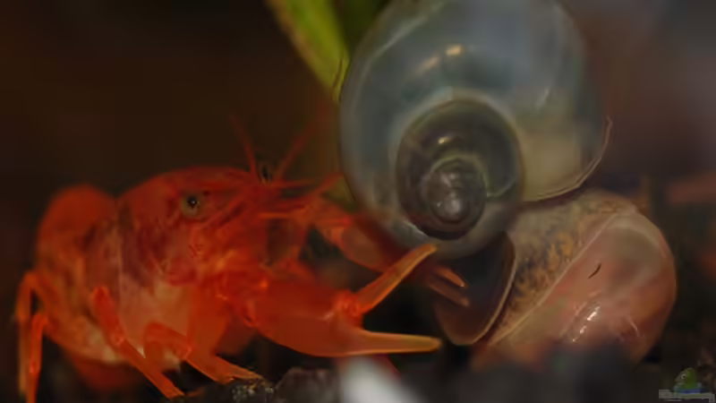 Userbild von Melia von Melia