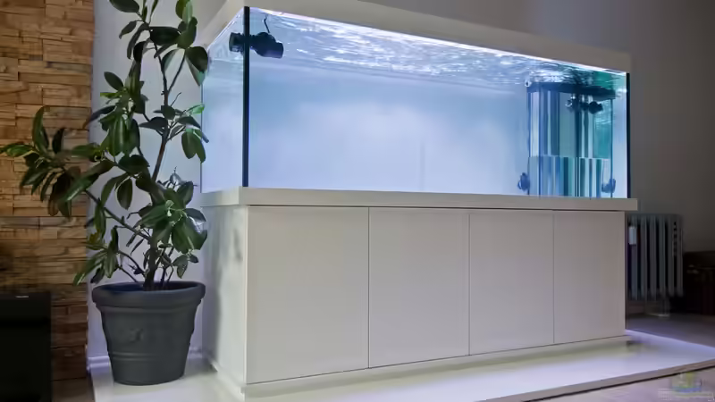 Userbild von MH von MH (19)