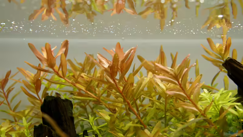 Userbild von Micha... von Micha... (16)