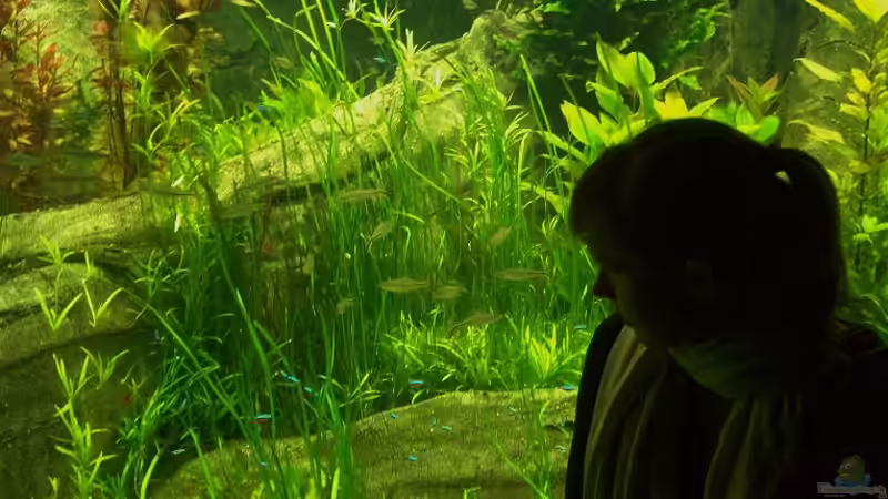 Userbild von Michael Lange von Michael Lange (2)