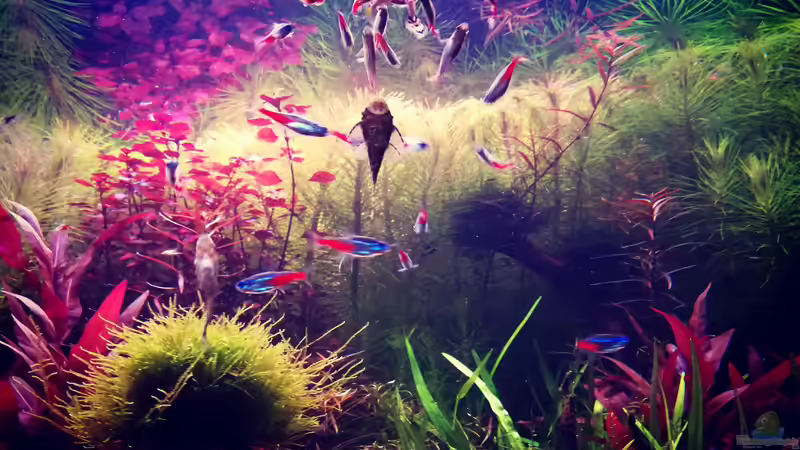 Userbild von Michael Müller von Michael Müller (14)