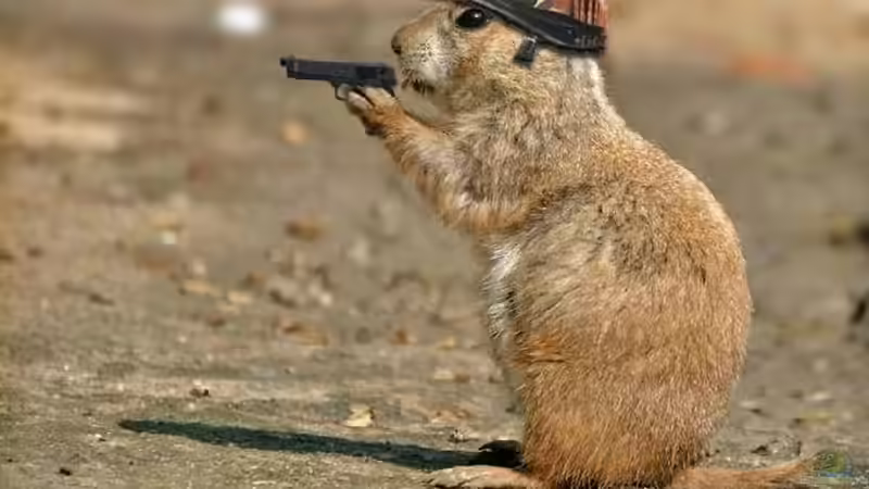 Userbild von Michael Seidel von Michael Seidel (29)