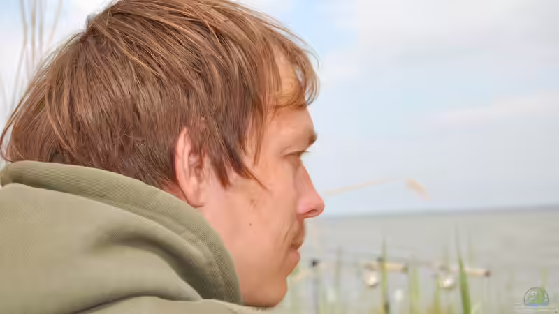 Userbild von Michael Z. von Michael Z. (39)