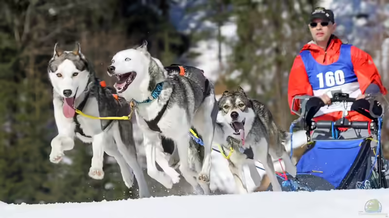 Userbild von Michel von Michel (64)