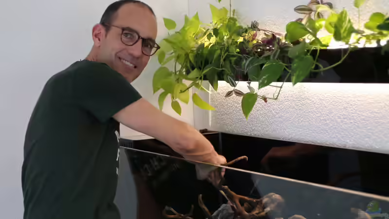 Userbild von Michinet von Michinet (32)