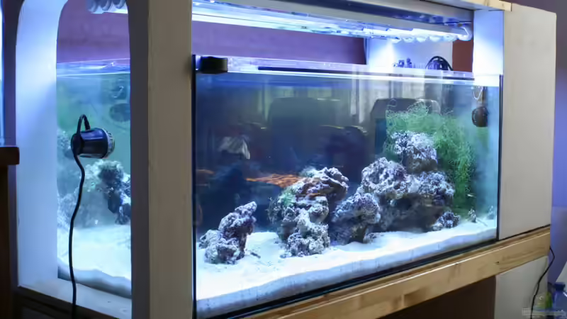 Userbild von milestone von milestone (3)