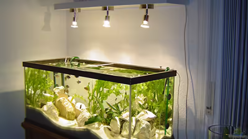 Userbild von MINI von MINI (4)