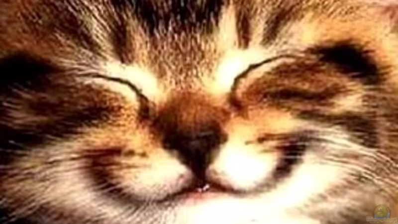 Userbild von miv von miv (52)