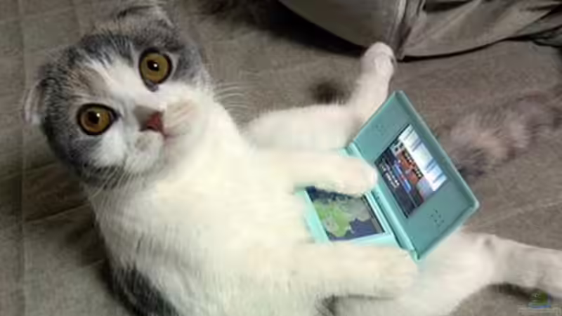 Userbild von Moepple von Moepple (27)