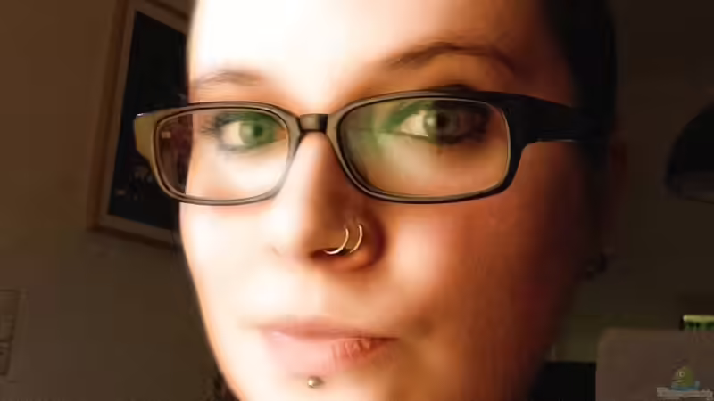 Userbild von Momo-kocht von Momo-kocht (11)