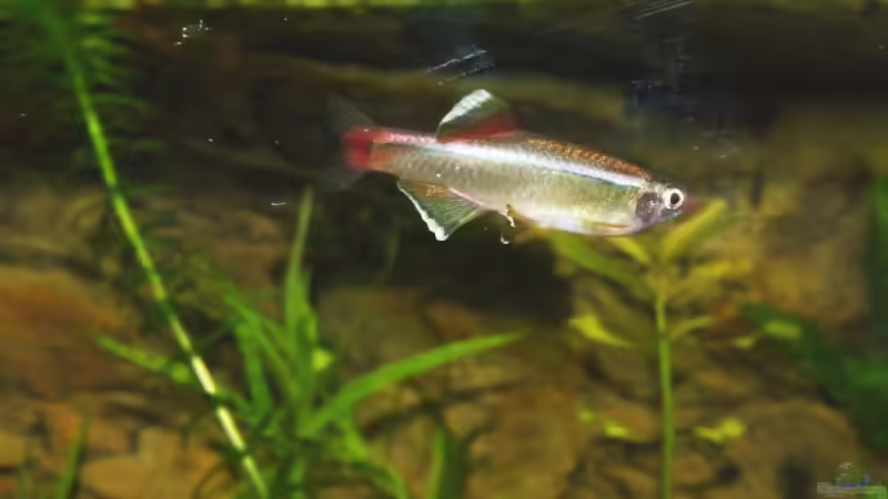 Userbild von Monika Panksy von Monika Panksy (19)