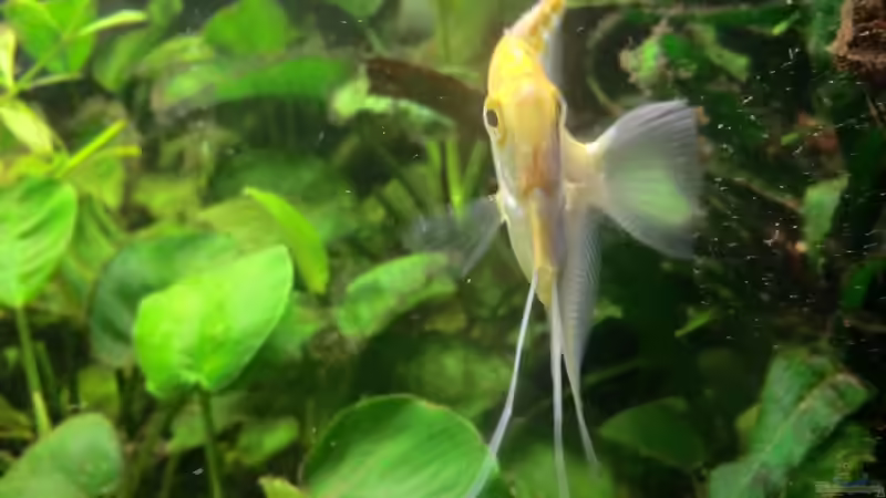 Userbild von Morten von Morten (23)