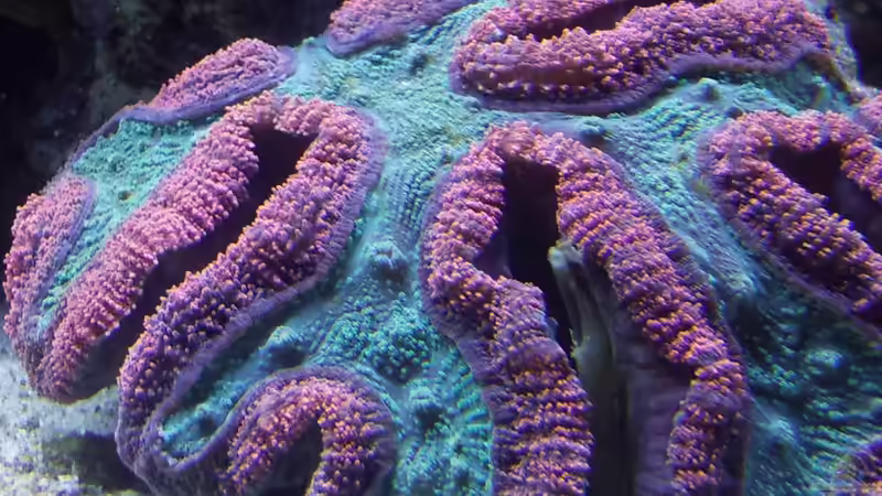 Userbild von Muhitin von Muhitin (7)