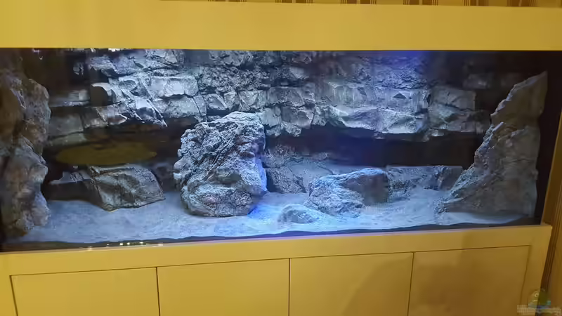 Userbild von Murdock von Murdock (2)