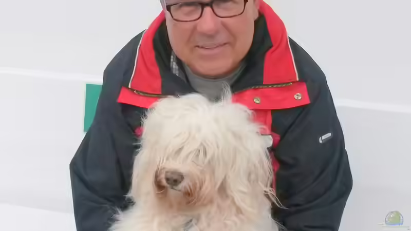 Userbild von Nano Sonny von Nano Sonny (16)